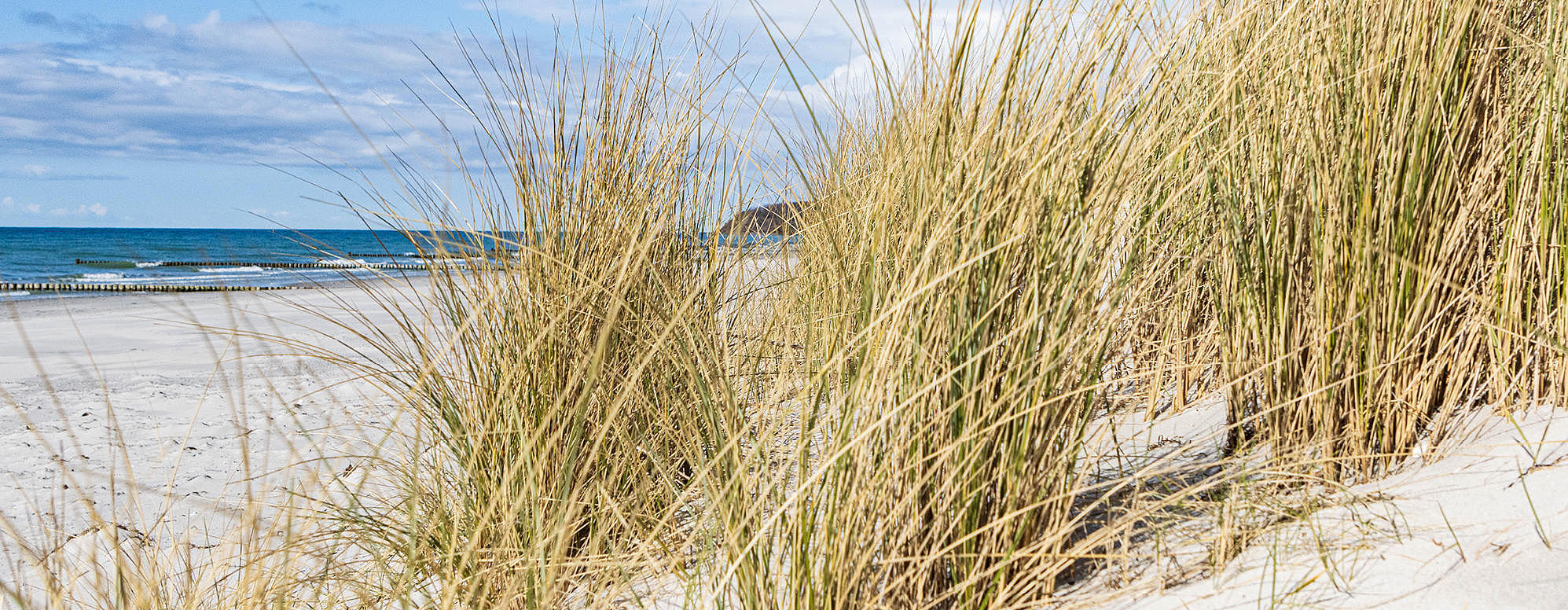 Naturschönheiten der Insel Hiddensee ab Hafen Breege