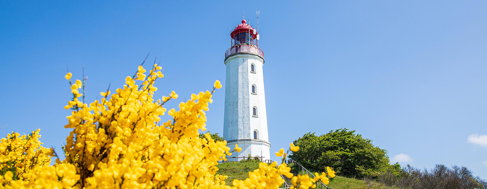 Leuchtturm Dornbusch ab Breege