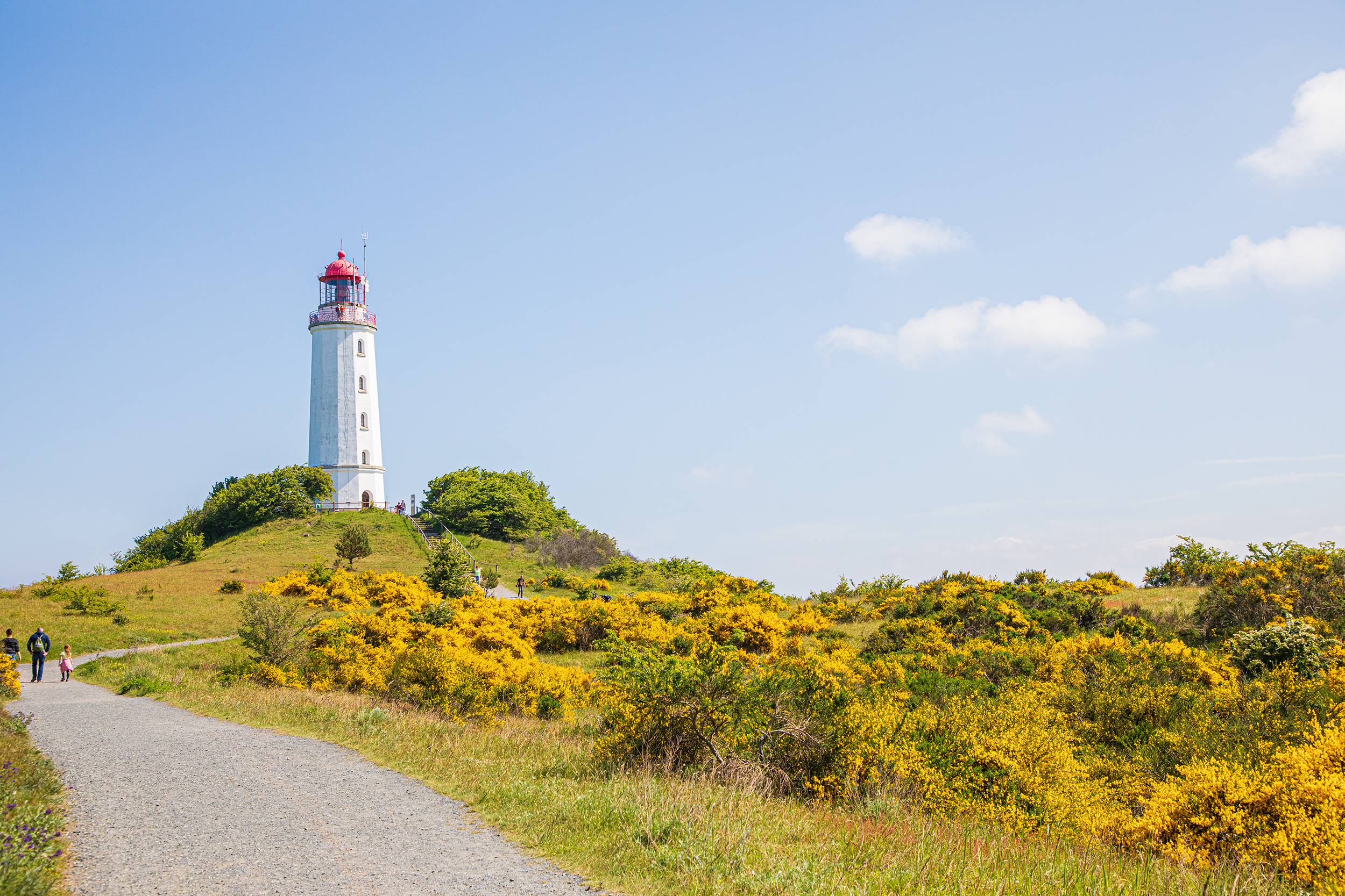 Insel Hiddensee ab Hafen Breege erkunden.